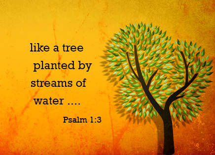 After a busy summer, time to get back to normality this&nbsp;Sunday