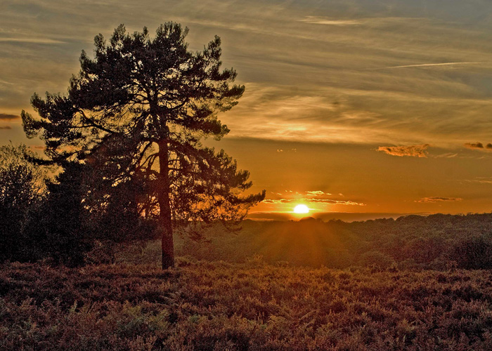 sunset-over-the-heath
