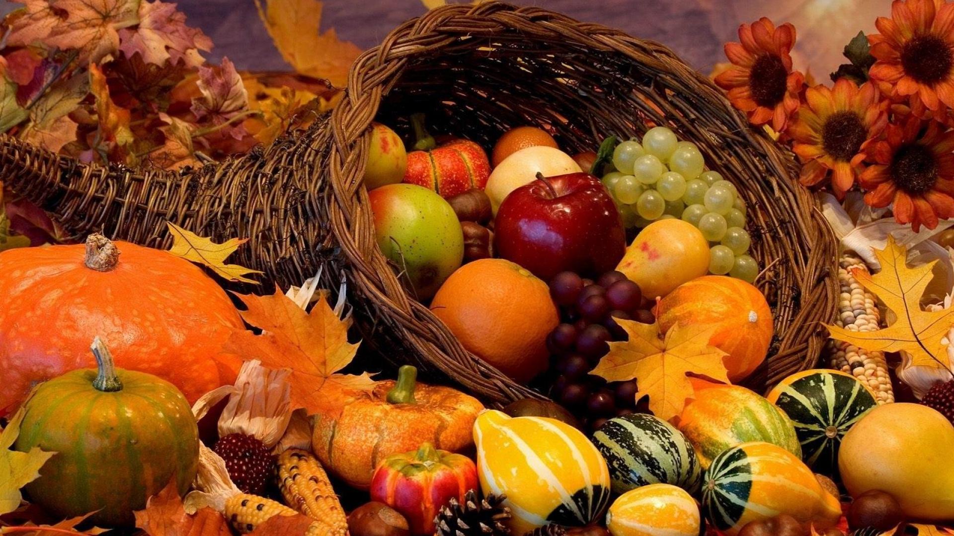 autumn-harvest-wallpaper-widescreen-wallpaper-4